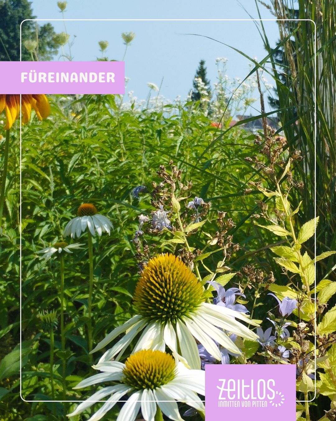 Mehr über den Artikel erfahren Handyhilfe!