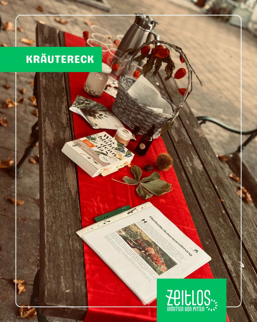 Mehr über den Artikel erfahren Herbst Kräuter Spaziergang!